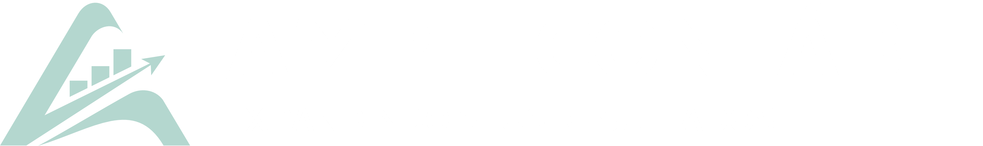 Ampli Contábil